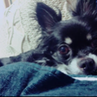 miii