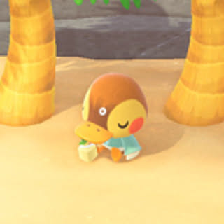 pipipiyopiiiii