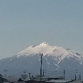 gozila