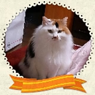 chieko