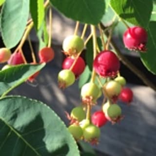 bigsunny0103