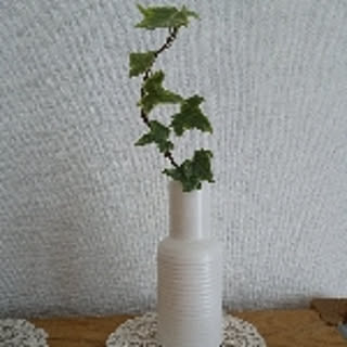 minomi