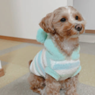 eriko