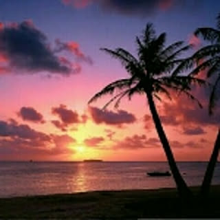 Maayuu_HOMEv8