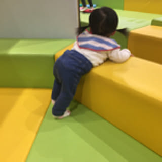 eringo
