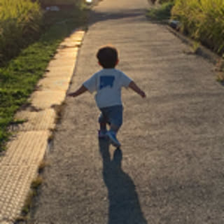 saokeyu