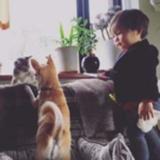 kuro_kuz