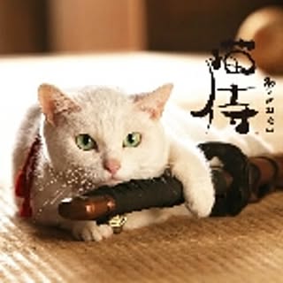Wataru