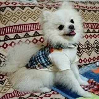 yuka