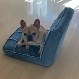 HALU