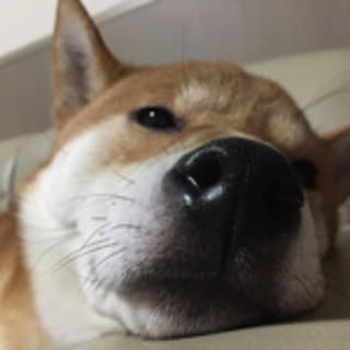 harukaze