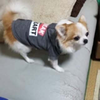 T.M.K