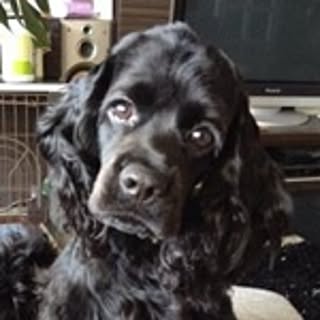 Rie
