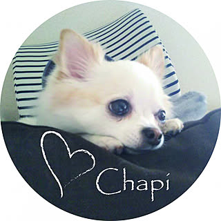 chapi