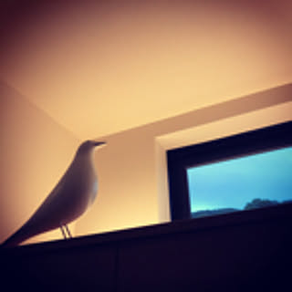 hi_ro_