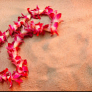 alohappy.mammylife