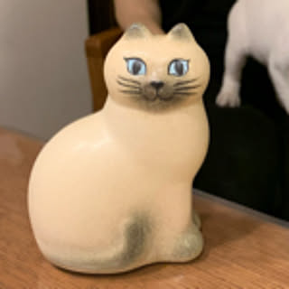 kiku