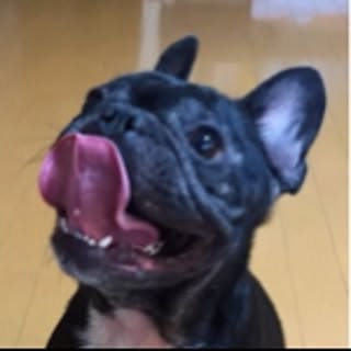 Bruno