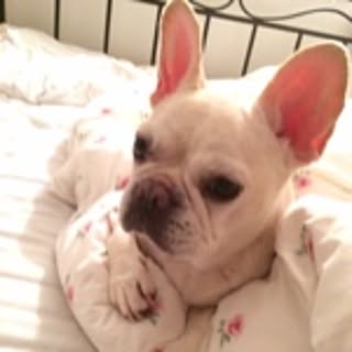 kiki