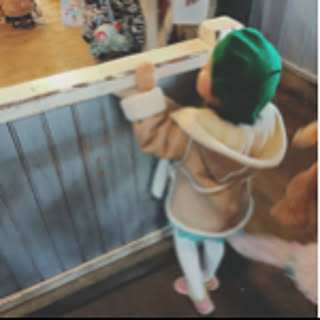 sayu