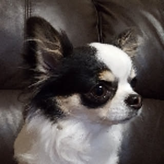matsu