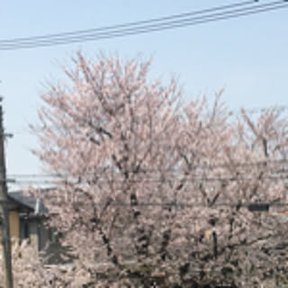 fumi-yo