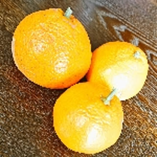 yamatani