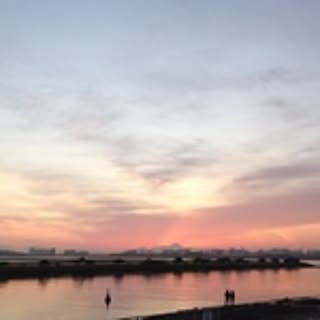yhcut22