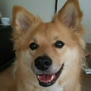 locoloco