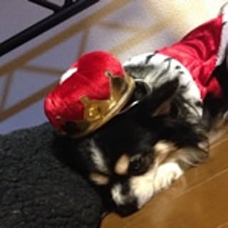 Hazuki