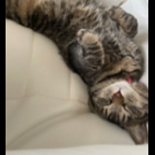Izumi