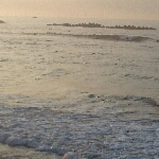 MALIBU-backside