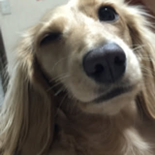 cheri