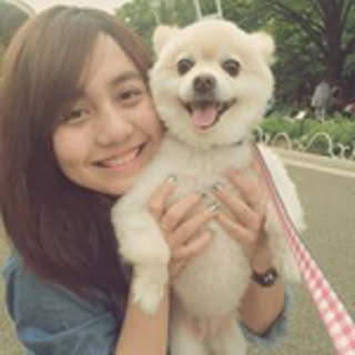 Chit