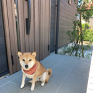 miyuken