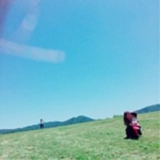 373haaruharu