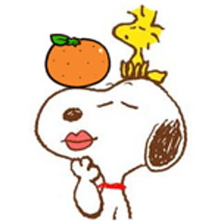 puchi