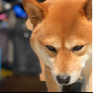 Nobu