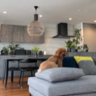 h_sumi_home