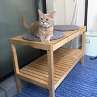 yuji
