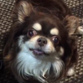 choco
