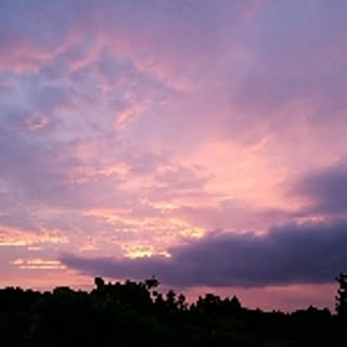 ankoro