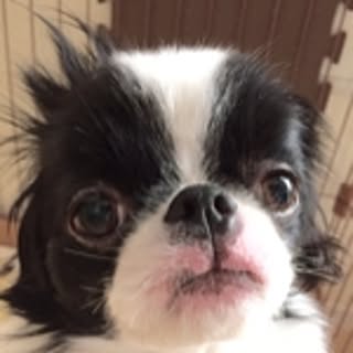 1286