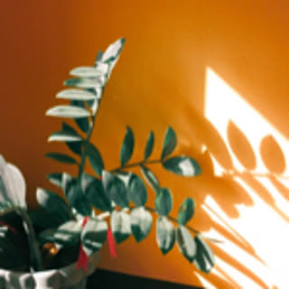 jun