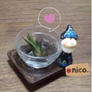 nico