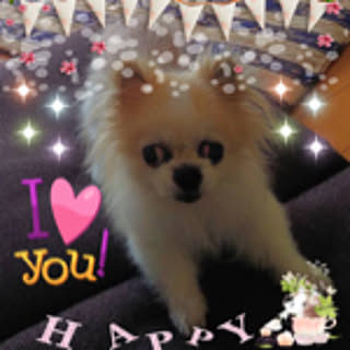 reo