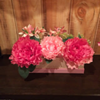 felice5316miho