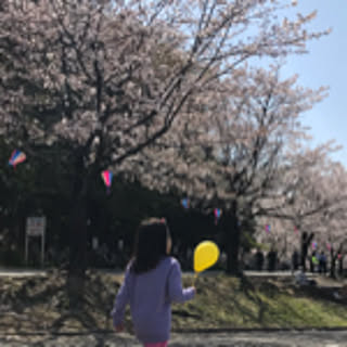 tomomi