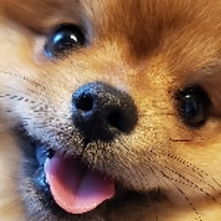 yaya