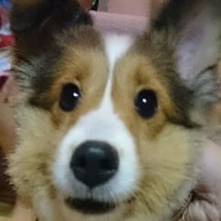 yuka